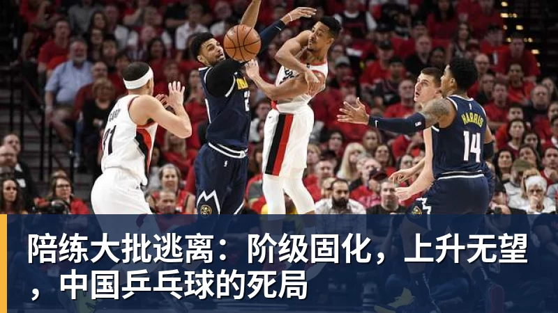 陪练大批逃离：阶级固化，上升无望，中国乒乓球的死局
