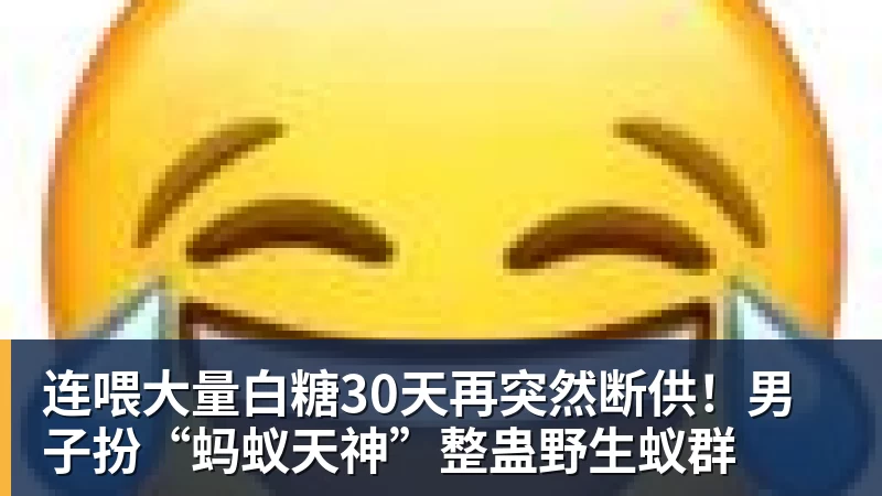 连喂大量白糖30天再突然断供!男子扮“蚂蚁天神”整蛊野生蚁群